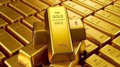 Finansal Yatırım Araçlarının Reel Getiri Oranları belli oldu. Aylıkta en